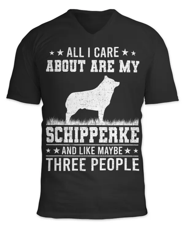 Unisex Jersey SS V-Neck T-Shirt