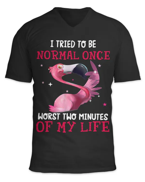 Unisex Jersey SS V-Neck T-Shirt