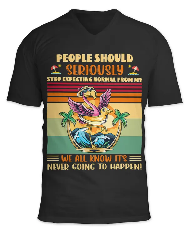 Unisex Jersey SS V-Neck T-Shirt