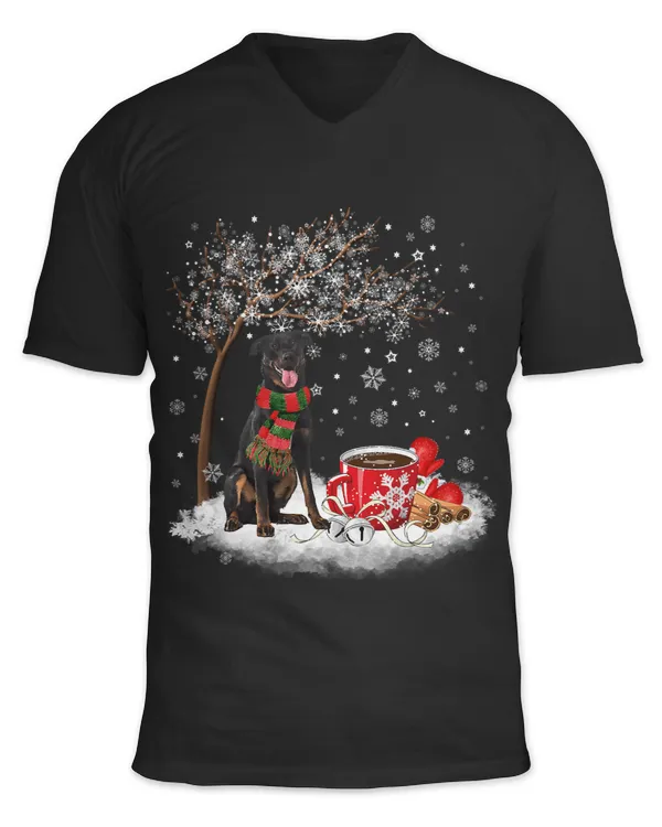 Unisex Jersey SS V-Neck T-Shirt