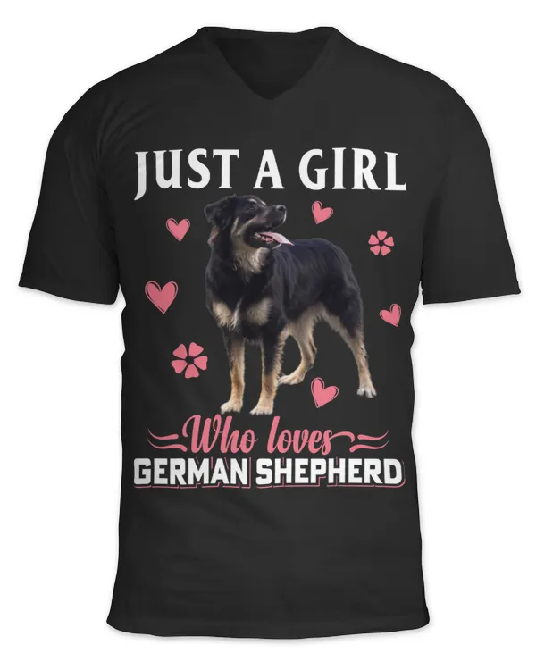 Unisex Jersey SS V-Neck T-Shirt