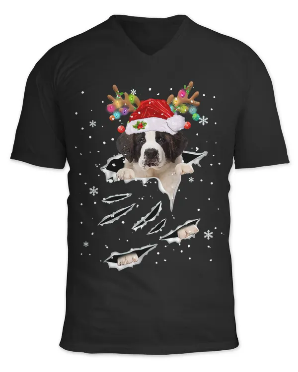 Unisex Jersey SS V-Neck T-Shirt