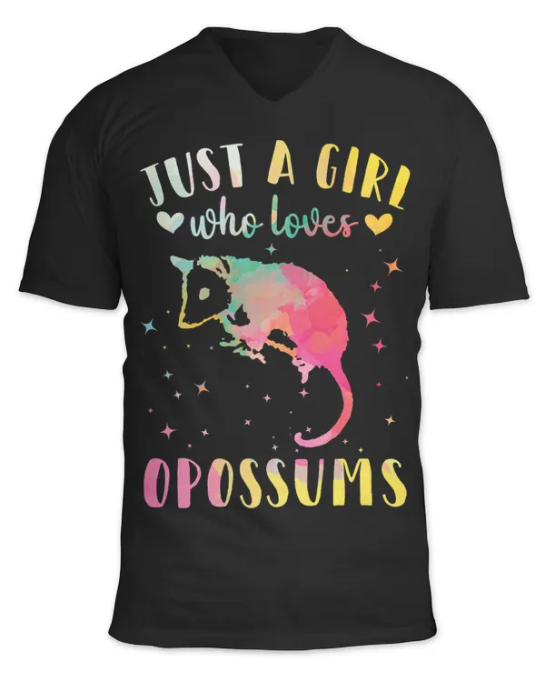 Unisex Jersey SS V-Neck T-Shirt
