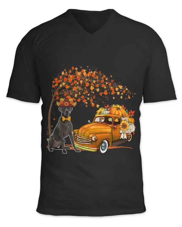 Great Dane Wearing Hat Fall Tree Pickup Truck Pumpkins