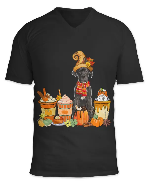 Great Dane Wearing Hat With Coffee Cups Fall Pumpkins