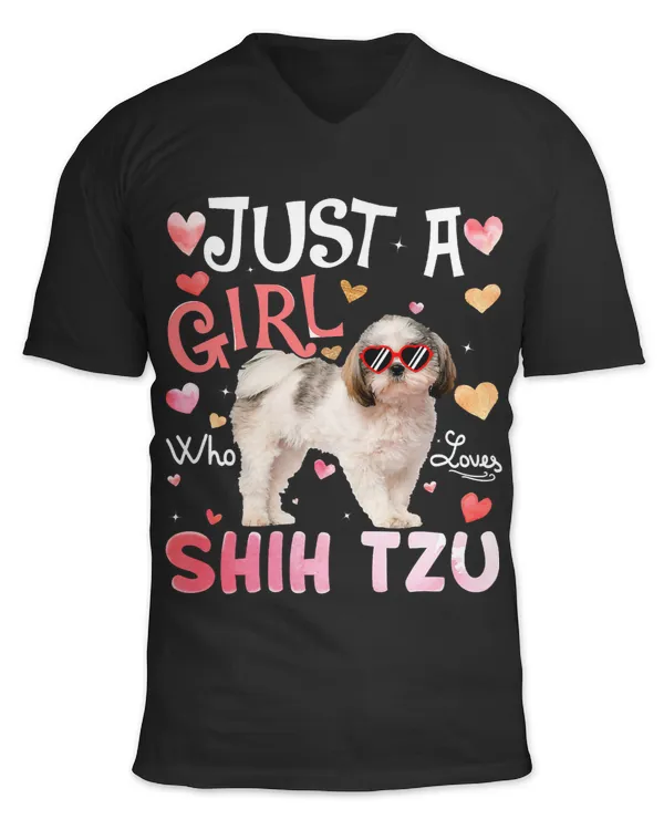 Unisex Jersey SS V-Neck T-Shirt