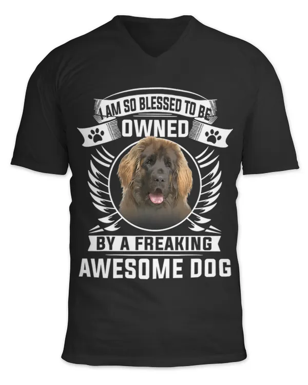 Unisex Jersey SS V-Neck T-Shirt
