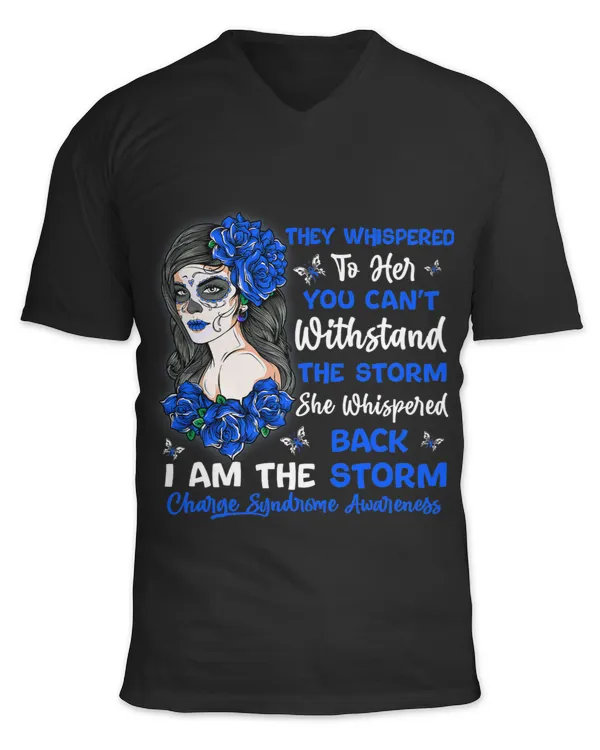 Unisex Jersey SS V-Neck T-Shirt