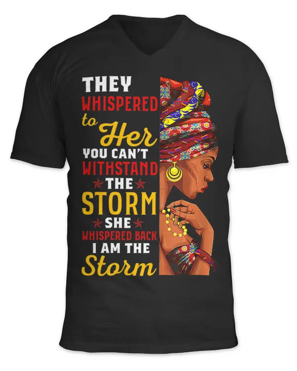 Unisex Jersey SS V-Neck T-Shirt