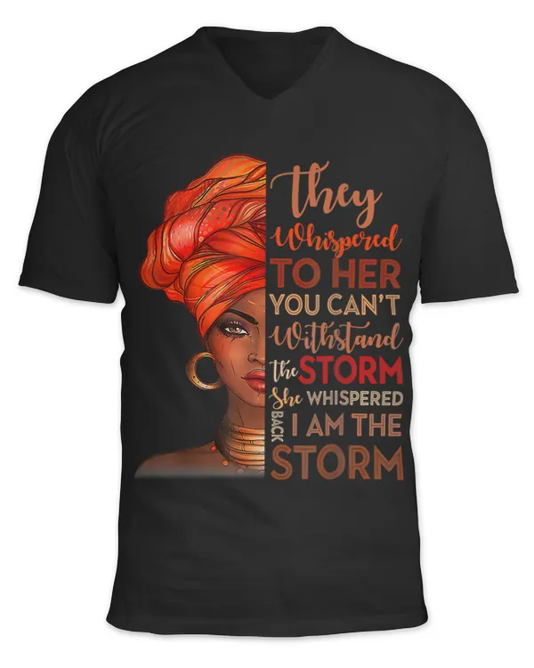 Unisex Jersey SS V-Neck T-Shirt