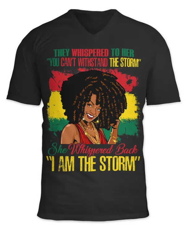 Unisex Jersey SS V-Neck T-Shirt