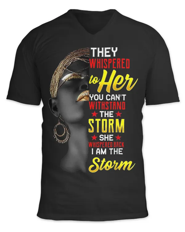 Unisex Jersey SS V-Neck T-Shirt