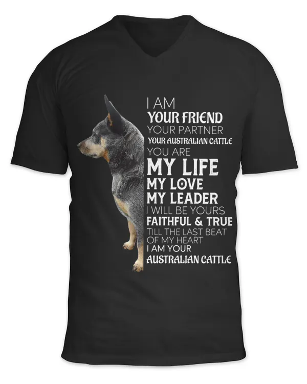 Unisex Jersey SS V-Neck T-Shirt
