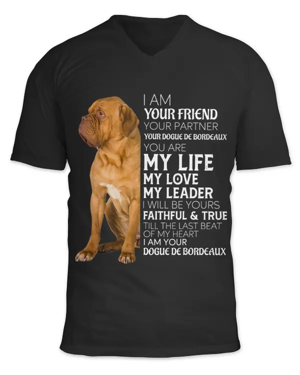 Unisex Jersey SS V-Neck T-Shirt