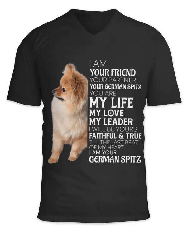 Unisex Jersey SS V-Neck T-Shirt