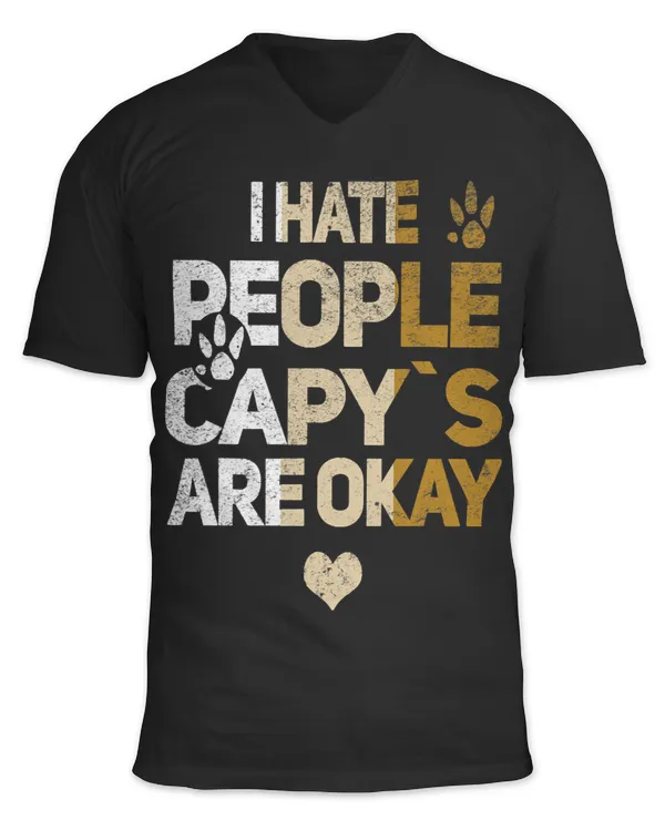 Unisex Jersey SS V-Neck T-Shirt