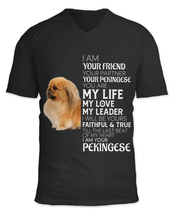 Unisex Jersey SS V-Neck T-Shirt