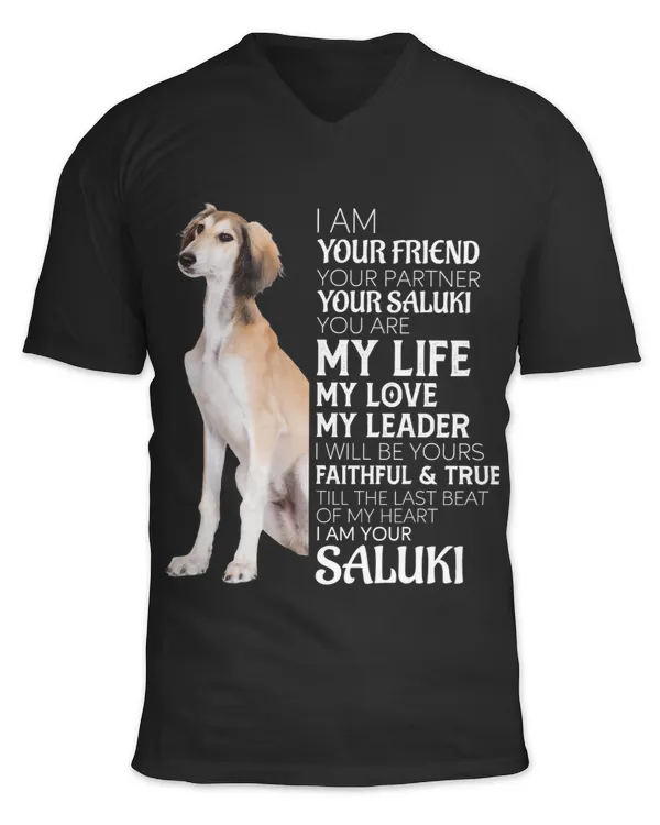 Unisex Jersey SS V-Neck T-Shirt