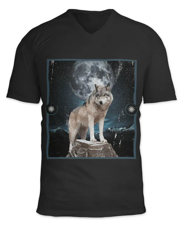 Unisex Jersey SS V-Neck T-Shirt