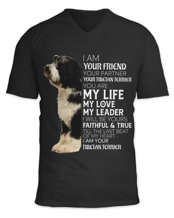 Unisex Jersey SS V-Neck T-Shirt