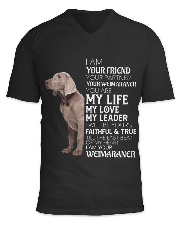 Unisex Jersey SS V-Neck T-Shirt