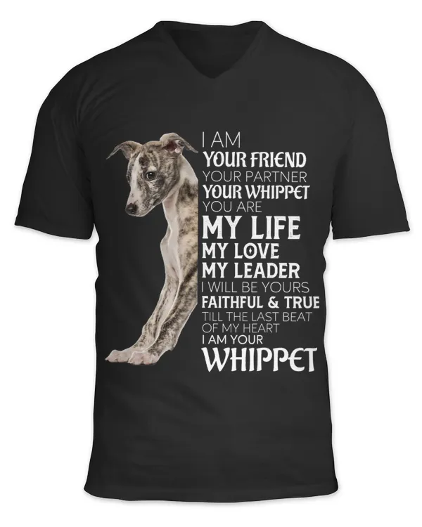Unisex Jersey SS V-Neck T-Shirt