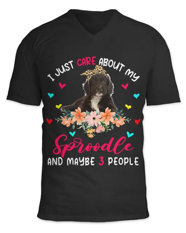 Unisex Jersey SS V-Neck T-Shirt