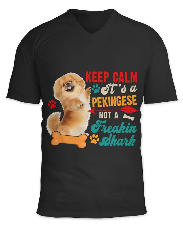 Unisex Jersey SS V-Neck T-Shirt