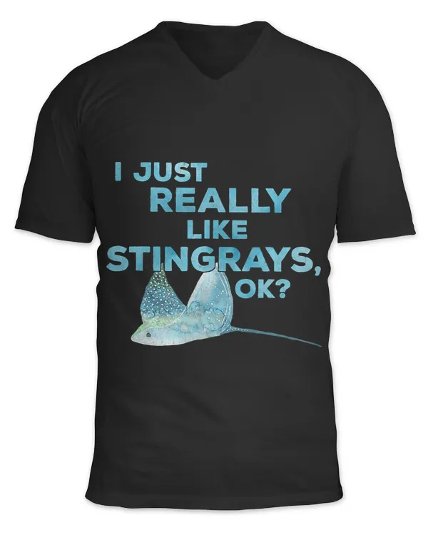 Unisex Jersey SS V-Neck T-Shirt