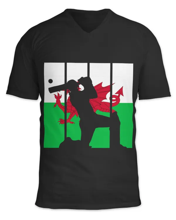 Unisex Jersey SS V-Neck T-Shirt