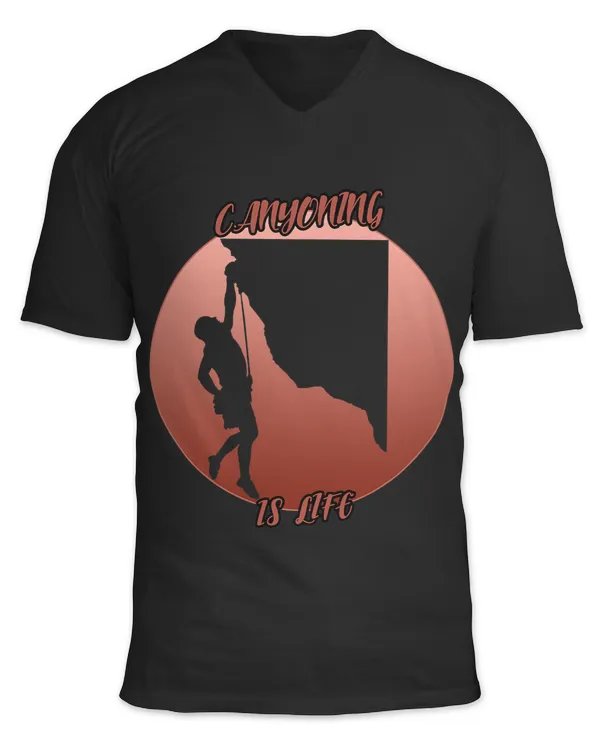 Unisex Jersey SS V-Neck T-Shirt