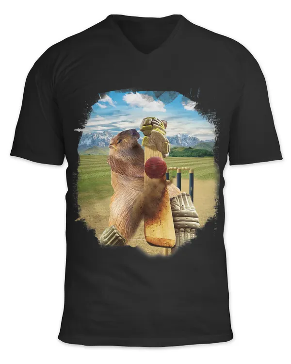 Unisex Jersey SS V-Neck T-Shirt