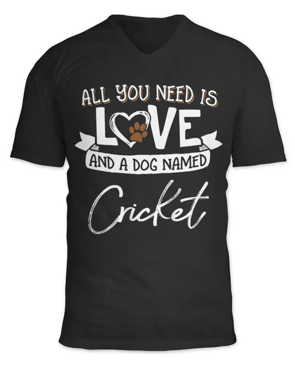 Unisex Jersey SS V-Neck T-Shirt