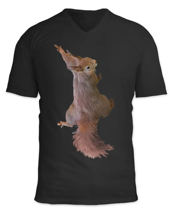 Unisex Jersey SS V-Neck T-Shirt