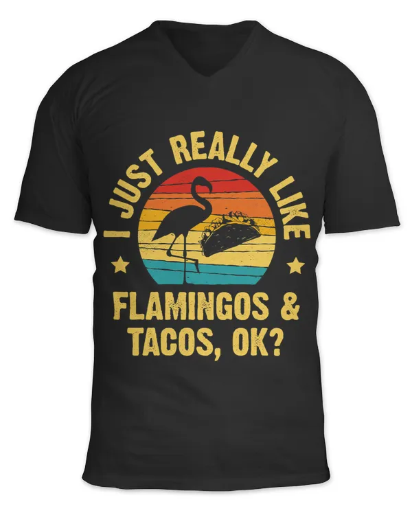 Unisex Jersey SS V-Neck T-Shirt