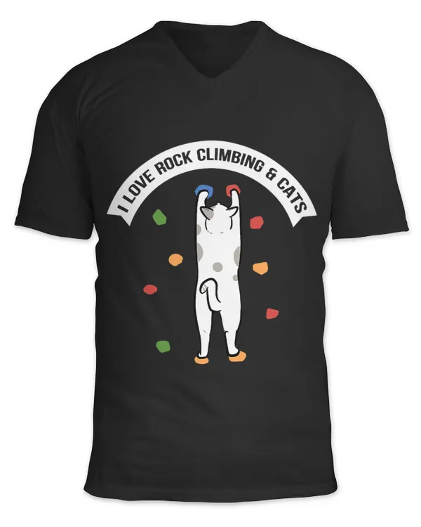 Unisex Jersey SS V-Neck T-Shirt