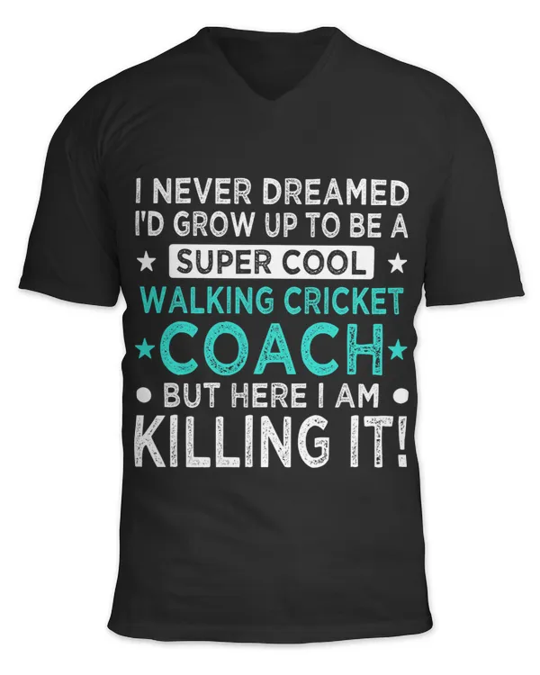 Unisex Jersey SS V-Neck T-Shirt