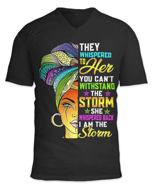 Unisex Jersey SS V-Neck T-Shirt