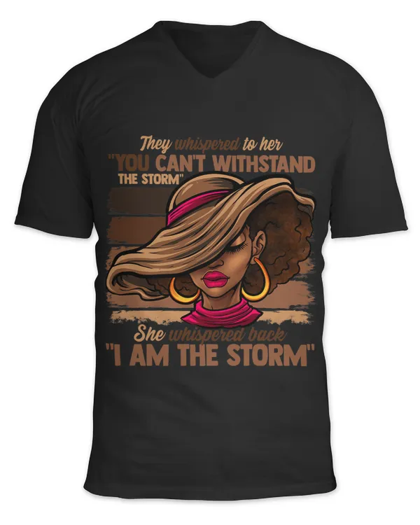 Unisex Jersey SS V-Neck T-Shirt