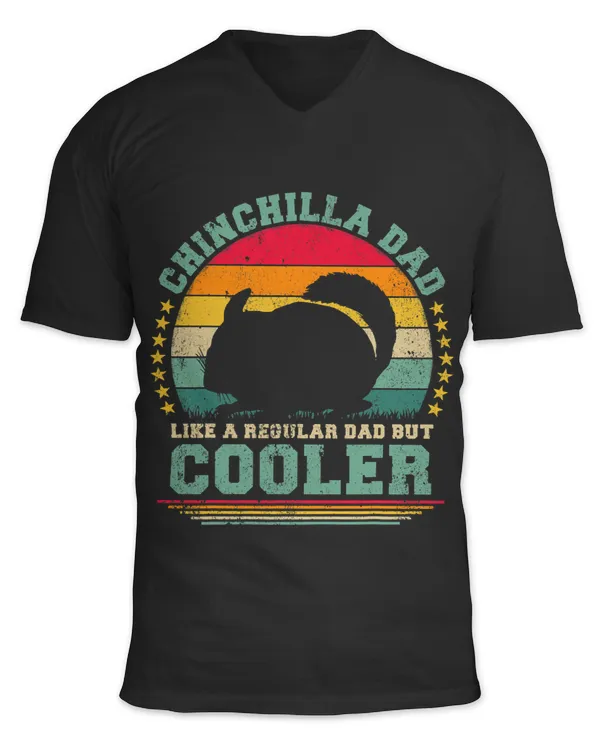 Unisex Jersey SS V-Neck T-Shirt