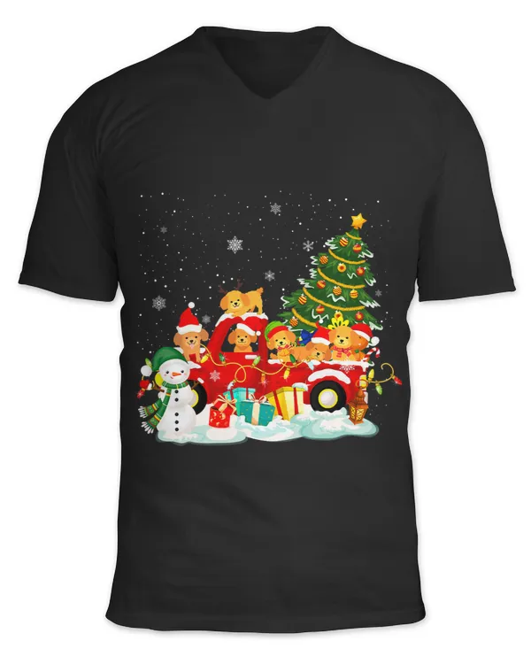 Unisex Jersey SS V-Neck T-Shirt