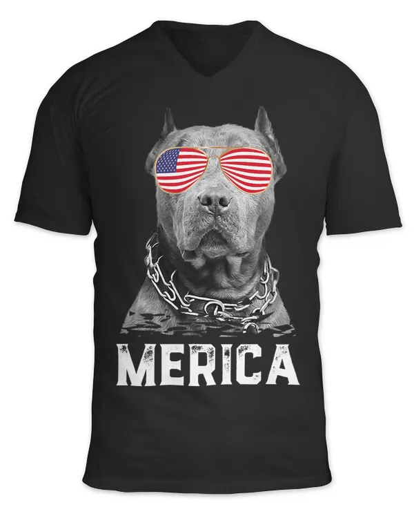 Unisex Jersey SS V-Neck T-Shirt