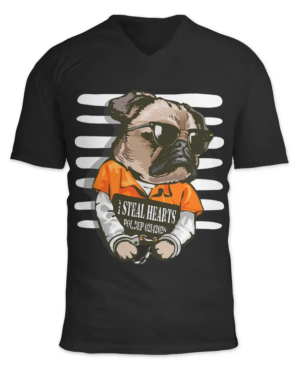 Unisex Jersey SS V-Neck T-Shirt