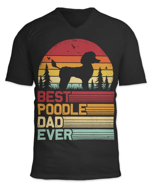 Unisex Jersey SS V-Neck T-Shirt
