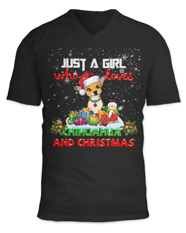 Unisex Jersey SS V-Neck T-Shirt