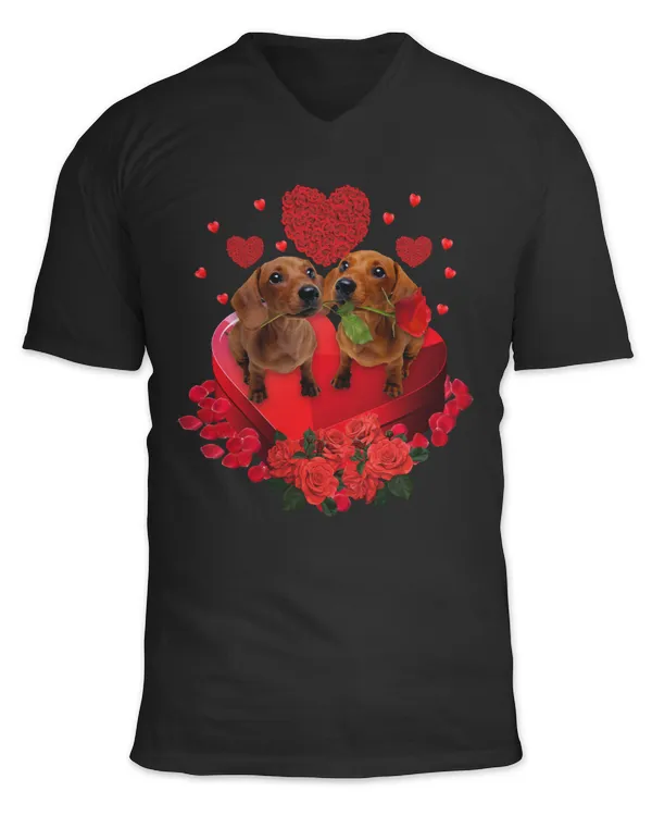 Unisex Jersey SS V-Neck T-Shirt