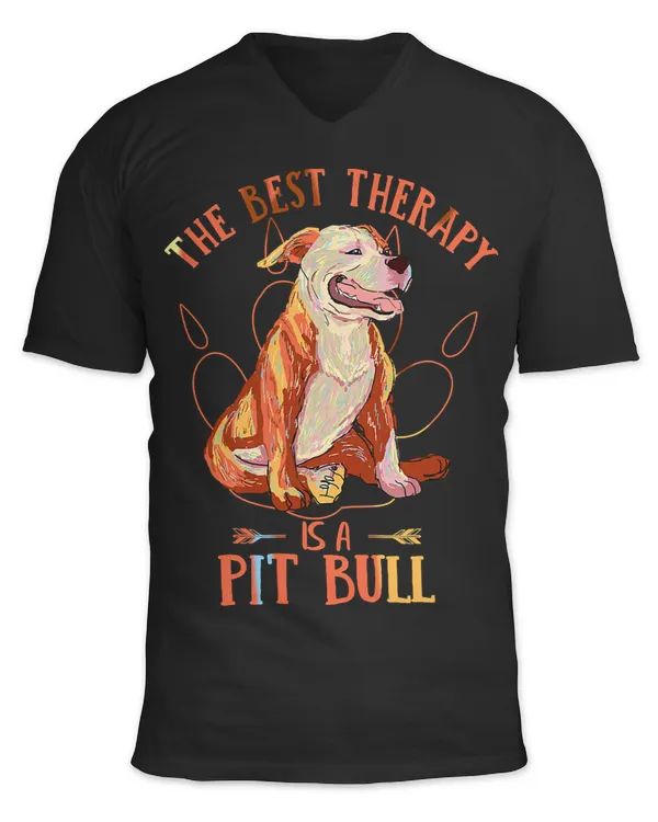 Unisex Jersey SS V-Neck T-Shirt