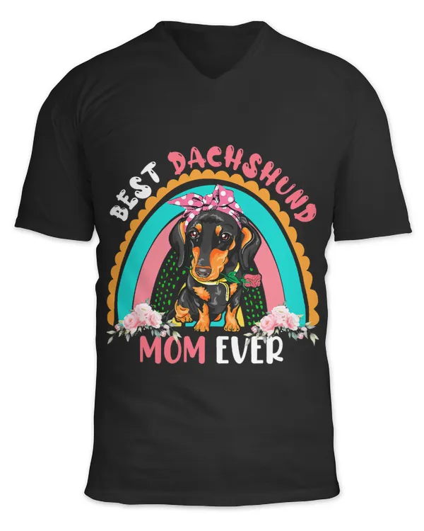 Unisex Jersey SS V-Neck T-Shirt