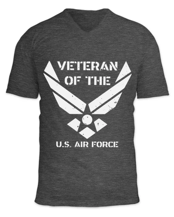 Unisex Jersey SS V-Neck T-Shirt