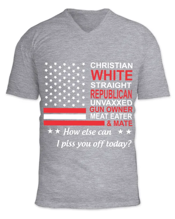 Unisex Jersey SS V-Neck T-Shirt